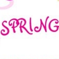 Spring Special- Oil Experiance