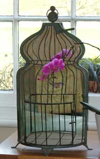 Birdcage mirrors for house garden or conservatory