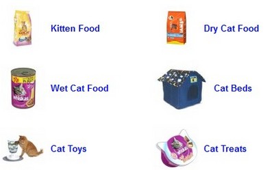 CATS & KITTENS