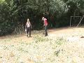 Ashwood Treecare - Tree Surgeons in Mitcham offers Pruning. Felling. Shaping. Thinning. Reductions. Pollarding. Crown Services. Stump Grinding. Garden Clearance / Overhaul. Hedge trimming. http://www.touchlocal.com/business/list/bid/6957162