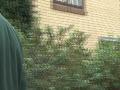 http://www.touchlocal.com/business/list/bid/2236183
Clear Round Pest Services based near Petersfield, covering Midhurst, Hindhead, Alton, Rogate, Haslemere, Liphook, Petworth, Chichester and Liss offer discreet and friendly Pest & Vermin Control Serv
