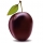 Plum Marketing Solutions