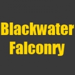 Blackwater Falconry - pest service