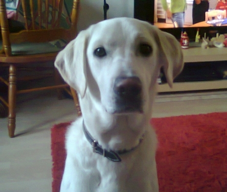 Photo0328