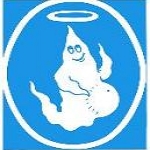 Spook Erection Limited