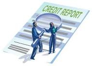Business & Company Credit Reports