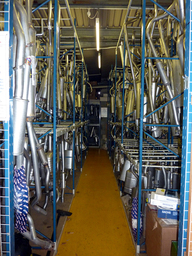 1000s exhausts