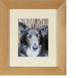 Photo frame for pet ashes