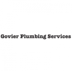 D. Govier Plumbing Services - tilers
