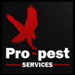 Pro-pest Services - pest service