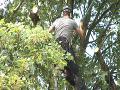 http://www.touchlocal.com/business/list/bid/6836518 Canon Tree Care is an established Tree Surgery Company, which has been operating in the UK, Europe and Japan for the last 13 years. They are based in Dunsden, Berkshire servicing Reading, Wokingham,