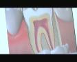 Dr. Peter Kertesz Dental Surgery