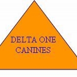 Delta Canines One Logo Web Page