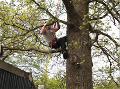 http   www touchlocal com business list bid 3615650 Arborcare in Stevenage  You can benefit from our years of experience by letting us maintain your trees rather than expensive emergency repairs  Tree falling and stump grinding can be a hassle