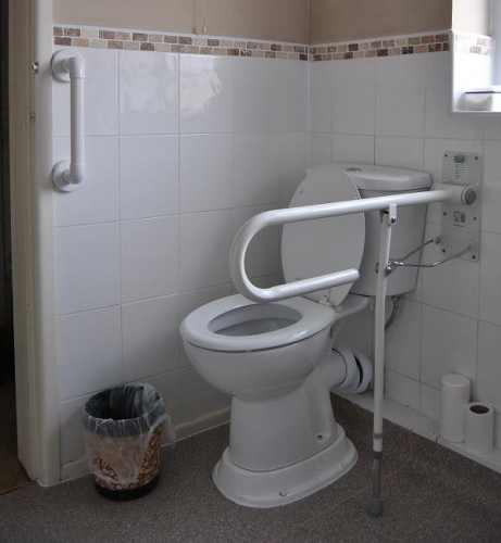 Disabled Toilet 75mm Plinth Grab Rails