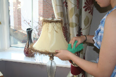 Domestic Cleaning call 01366 384970