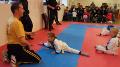 Universal Martial Arts Studio