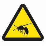Bug Thugs - pest service