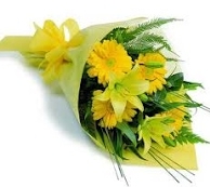 Yellow 20bq