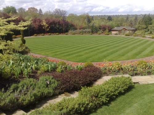 Landscape garden carried out by Herts Landscapes Ltd