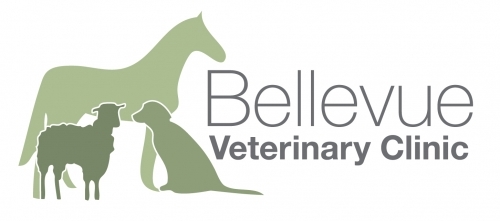 Bellevue Final Logo 2