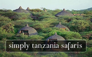 Simply Tanzania Safaris