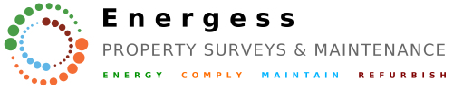 Logo Energess Surveys And Maintenance Large