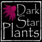 Dark Star Plants