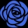 Blue Rose Digital