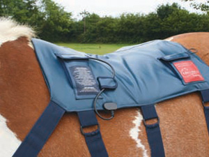 Equilibrium Massage Pad and Mitt for Horses