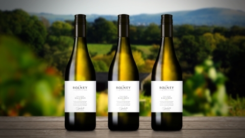 The Bolney Wine Estate branding