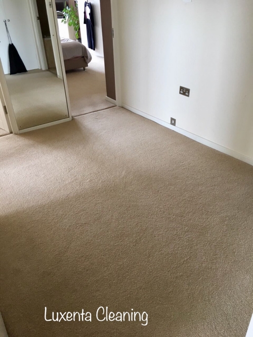Carpet and Upholstery Cleaning Service