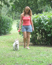 Dog Walking, Visits & More