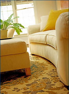 Carpet Upholstery Cleaning