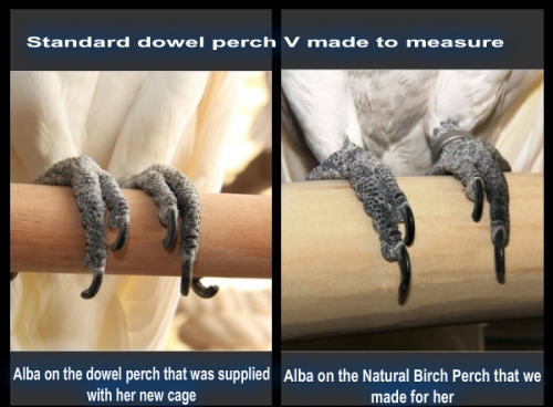 Dowel V Made To Measure Perches