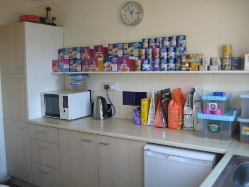 Cattery Kitchen