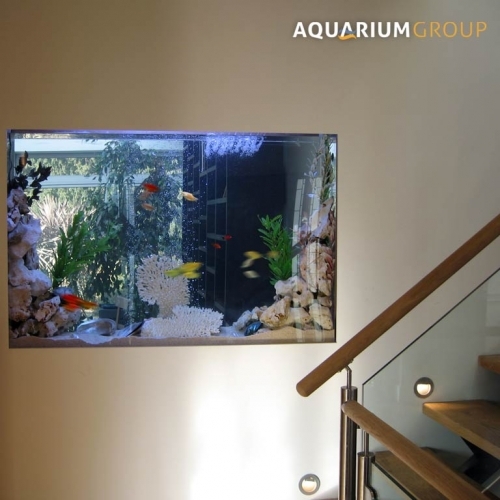 Custom Build Through Wall Aquarium