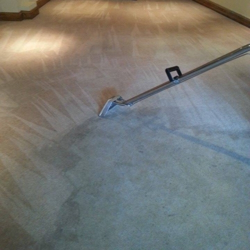 Carpet Cleaning Plymouth - During