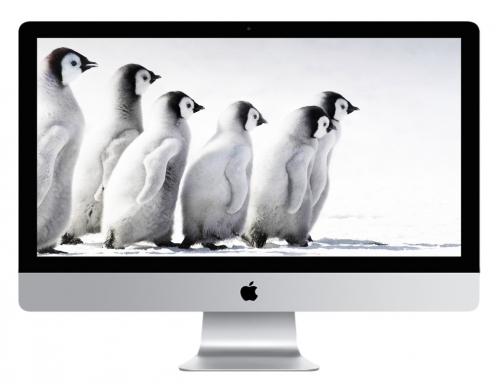 Apple Mac Hire