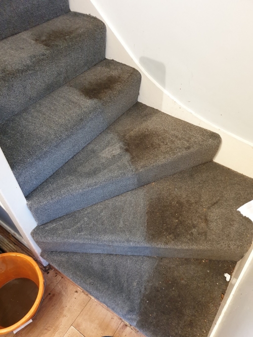 Carpet Cleaning £20 Per bedroom