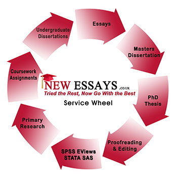 Essay Dissertation Writing Service