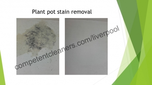 Plant Pot stain removal