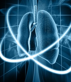 Digital Lungs