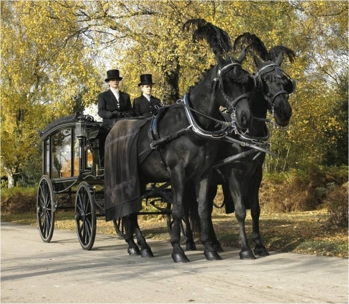 Horse Drawn Hearse_Purley