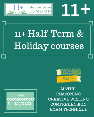 Holiday and half-term courses