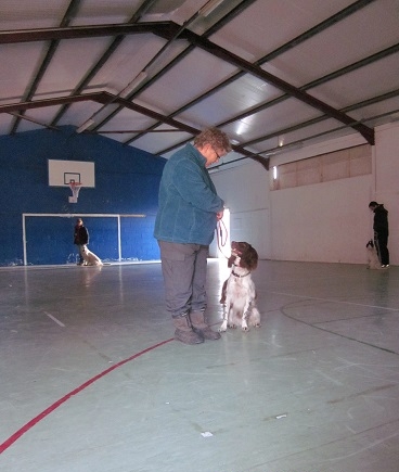 Obedience Class at Brinsbury College