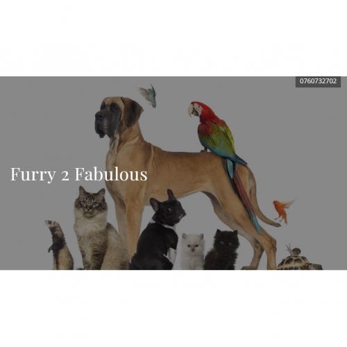 Furry 2 Fabulous In Bexleyheath Pet Services The