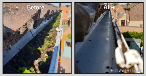 Gutter Clean and Clear