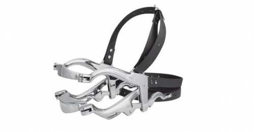 Hausmans Speculum