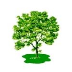 Ashtree Management Services Ltd